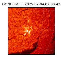 gong - 2025-02-04T02:00:42