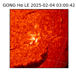 gong - 2025-02-04T03:00:42