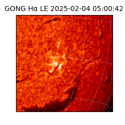 gong - 2025-02-04T05:00:42