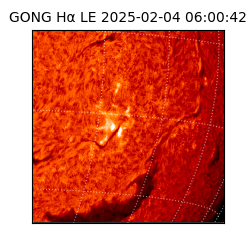 gong - 2025-02-04T06:00:42