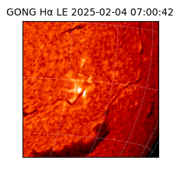 gong - 2025-02-04T07:00:42