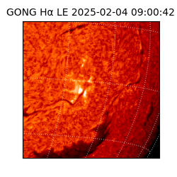 gong - 2025-02-04T09:00:42
