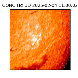 gong - 2025-02-04T11:00:02