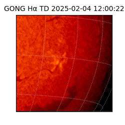 gong - 2025-02-04T12:00:22