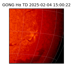 gong - 2025-02-04T15:00:22
