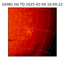gong - 2025-02-04T16:00:22