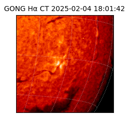 gong - 2025-02-04T18:01:42