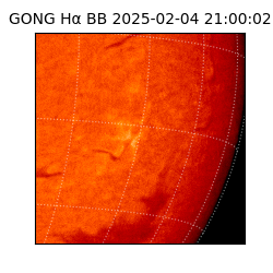 gong - 2025-02-04T21:00:02