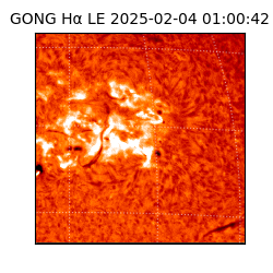 gong - 2025-02-04T01:00:42