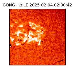 gong - 2025-02-04T02:00:42