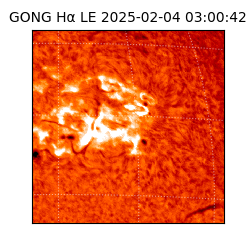 gong - 2025-02-04T03:00:42