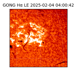 gong - 2025-02-04T04:00:42