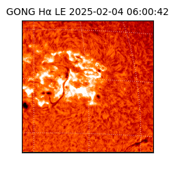 gong - 2025-02-04T06:00:42