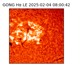 gong - 2025-02-04T08:00:42