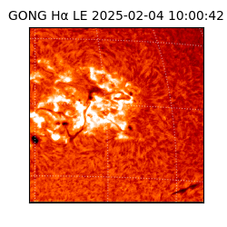 gong - 2025-02-04T10:00:42