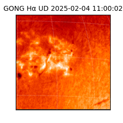 gong - 2025-02-04T11:00:02