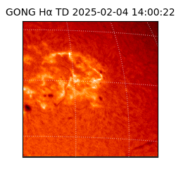 gong - 2025-02-04T14:00:22