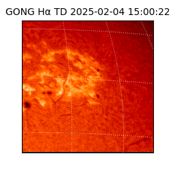 gong - 2025-02-04T15:00:22