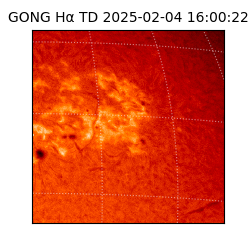 gong - 2025-02-04T16:00:22