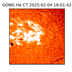 gong - 2025-02-04T18:01:42