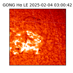 gong - 2025-02-04T03:00:42