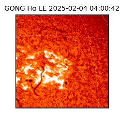 gong - 2025-02-04T04:00:42