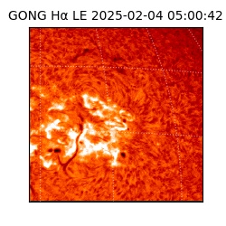 gong - 2025-02-04T05:00:42