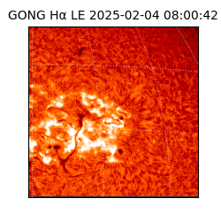gong - 2025-02-04T08:00:42