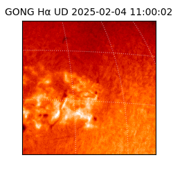 gong - 2025-02-04T11:00:02