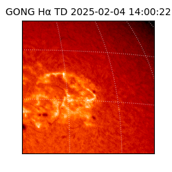 gong - 2025-02-04T14:00:22