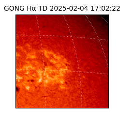 gong - 2025-02-04T17:02:22