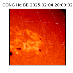 gong - 2025-02-04T20:00:02