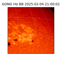 gong - 2025-02-04T21:00:02