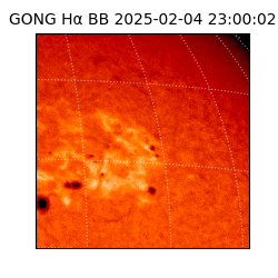 gong - 2025-02-04T23:00:02