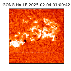 gong - 2025-02-04T01:00:42