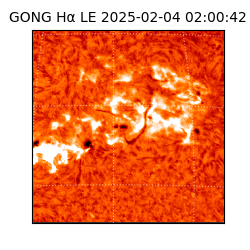 gong - 2025-02-04T02:00:42