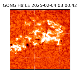 gong - 2025-02-04T03:00:42