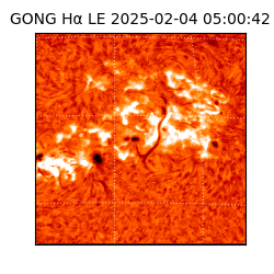 gong - 2025-02-04T05:00:42