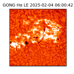 gong - 2025-02-04T06:00:42