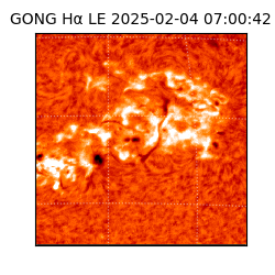 gong - 2025-02-04T07:00:42