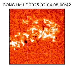 gong - 2025-02-04T08:00:42