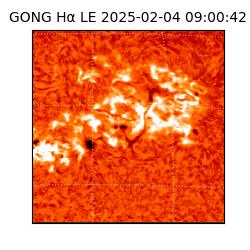 gong - 2025-02-04T09:00:42