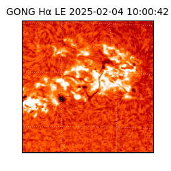 gong - 2025-02-04T10:00:42