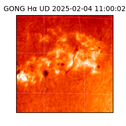 gong - 2025-02-04T11:00:02