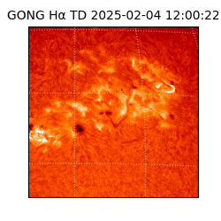 gong - 2025-02-04T12:00:22