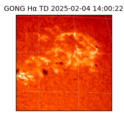 gong - 2025-02-04T14:00:22