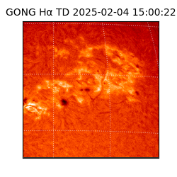 gong - 2025-02-04T15:00:22
