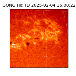 gong - 2025-02-04T16:00:22