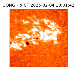 gong - 2025-02-04T18:01:42