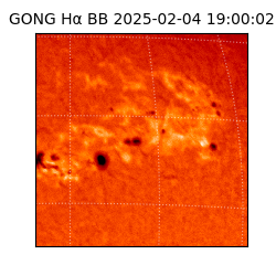 gong - 2025-02-04T19:00:02